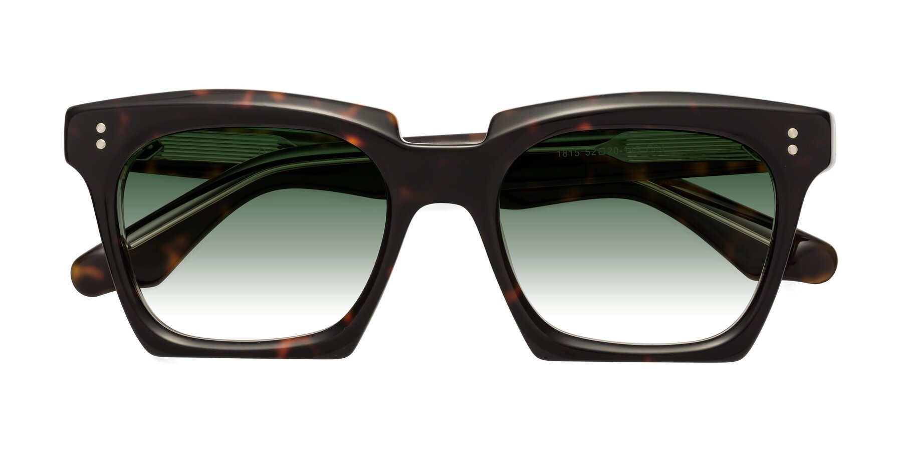 Folded Front of Donnie in Tortoise-Clear with Green Gradient Lenses