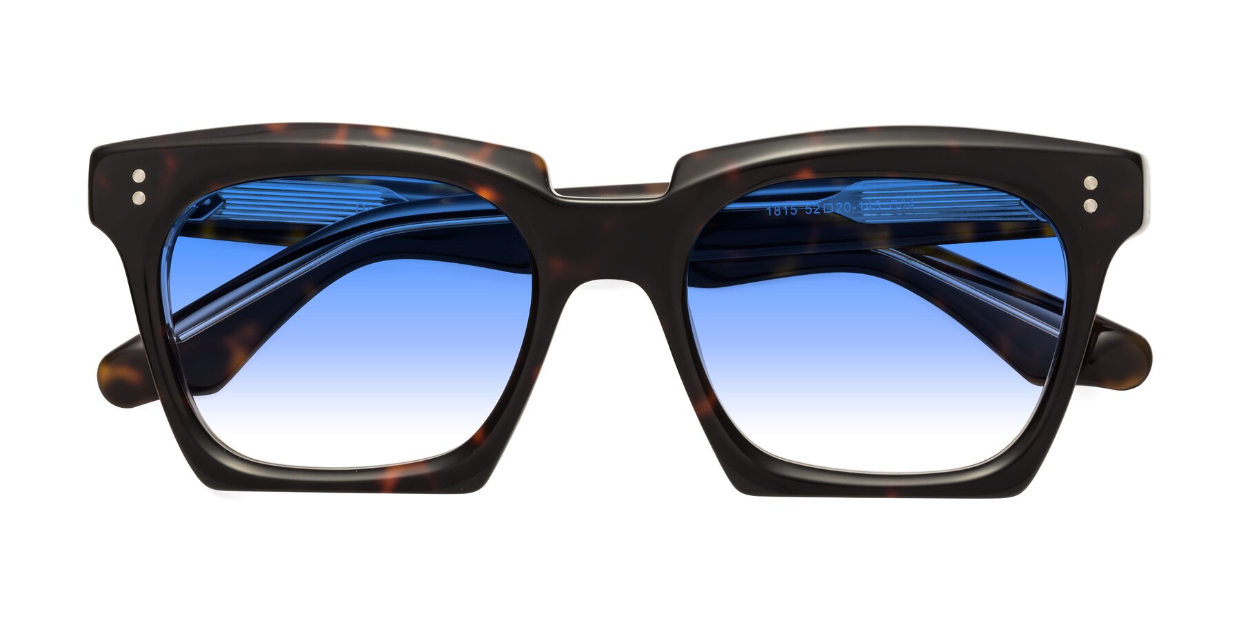 Folded Front of Donnie in Tortoise-Clear with Blue Gradient Lenses