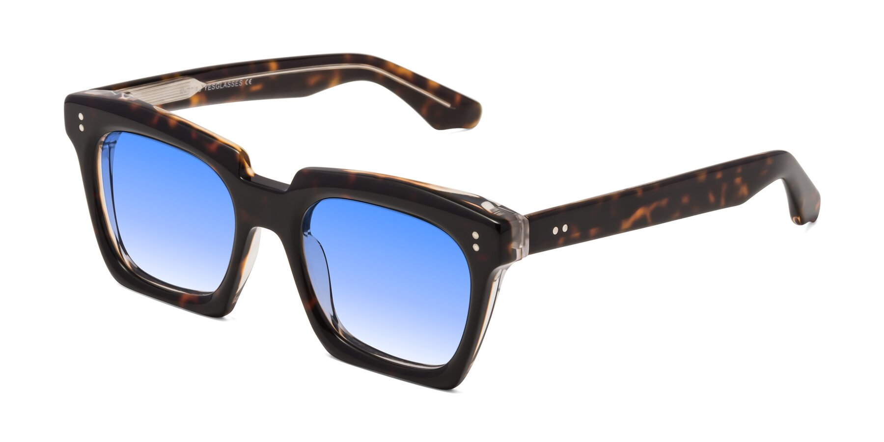 Angle of Donnie in Tortoise-Clear with Blue Gradient Lenses