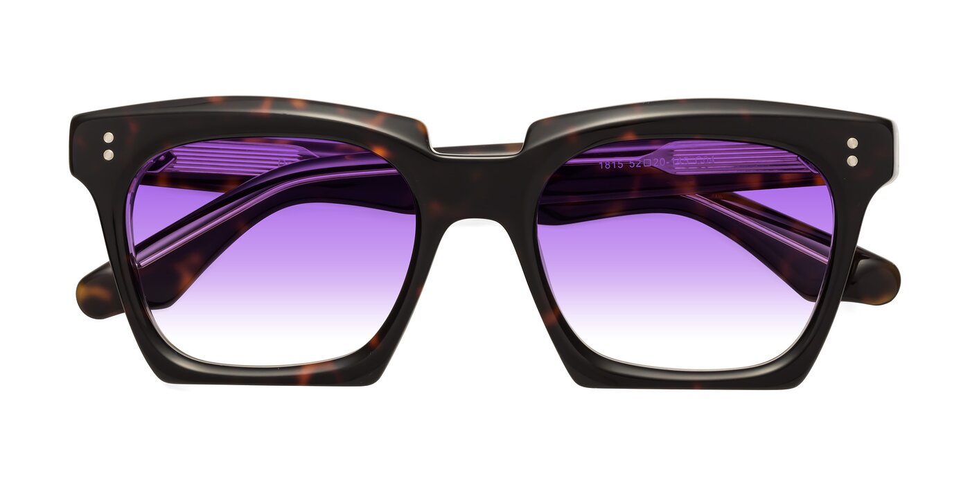 Donnie - Tortoise / Clear Gradient Sunglasses