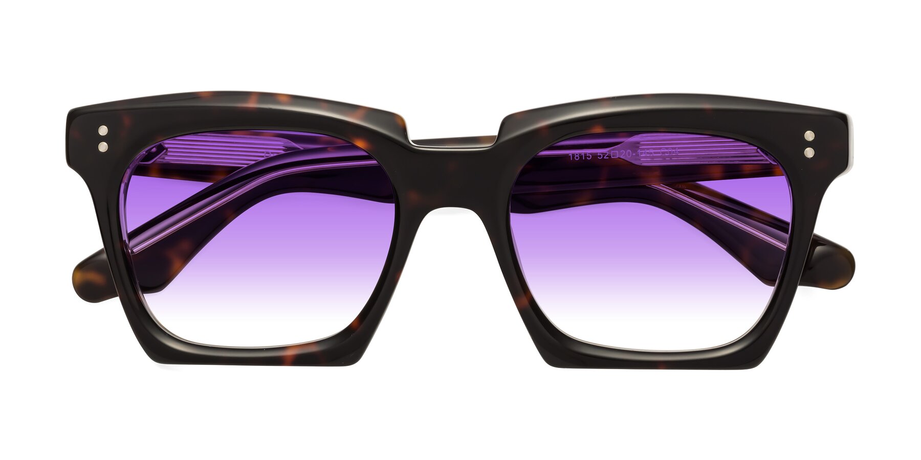 Folded Front of Donnie in Tortoise-Clear with Purple Gradient Lenses