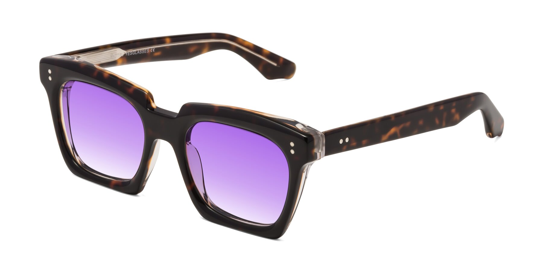 Angle of Donnie in Tortoise-Clear with Purple Gradient Lenses