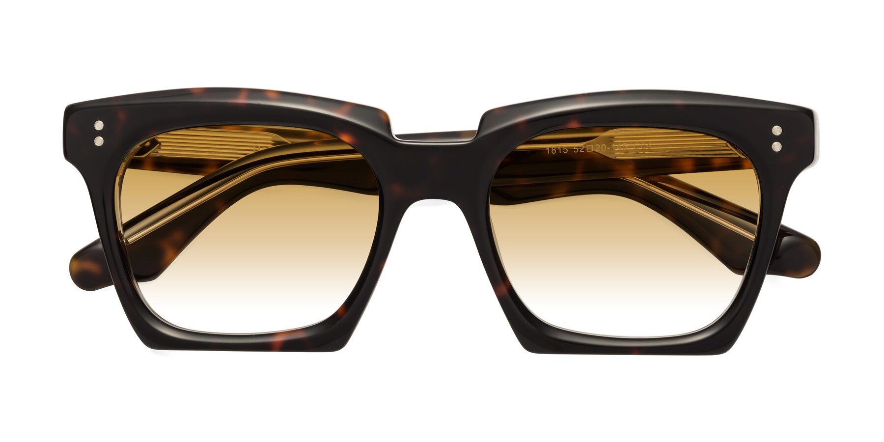 Folded Front of Donnie in Tortoise-Clear with Champagne Gradient Lenses