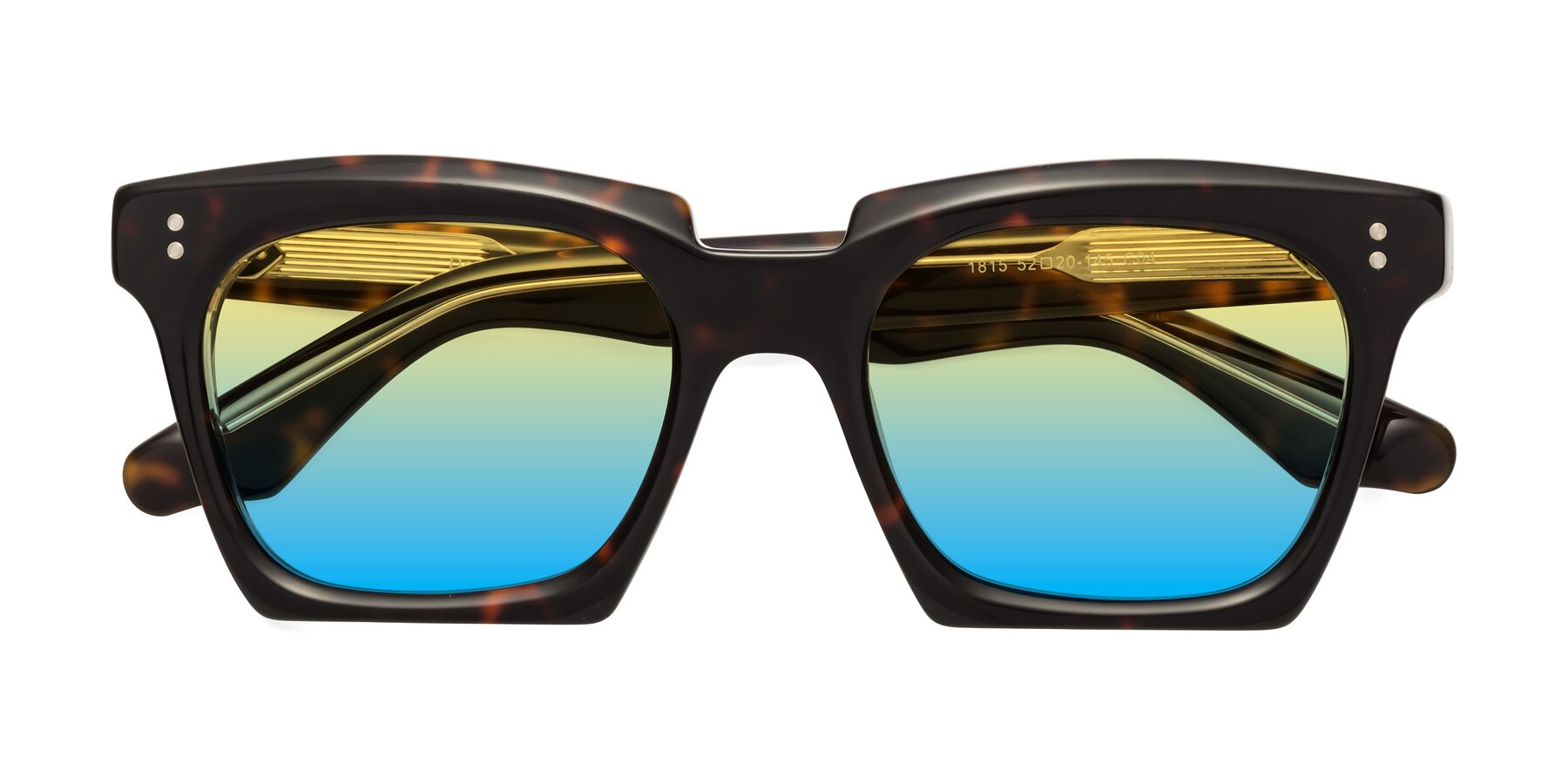 Folded Front of Donnie in Tortoise-Clear with Yellow / Blue Gradient Lenses