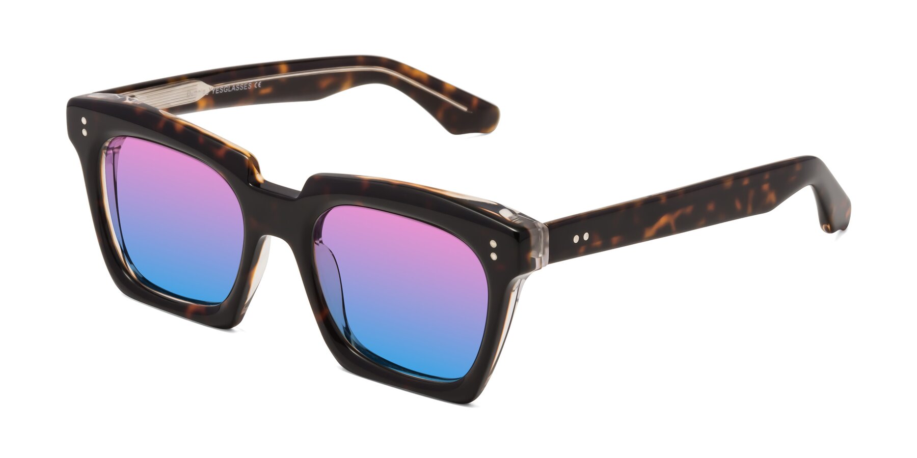 Angle of Donnie in Tortoise-Clear with Pink / Blue Gradient Lenses