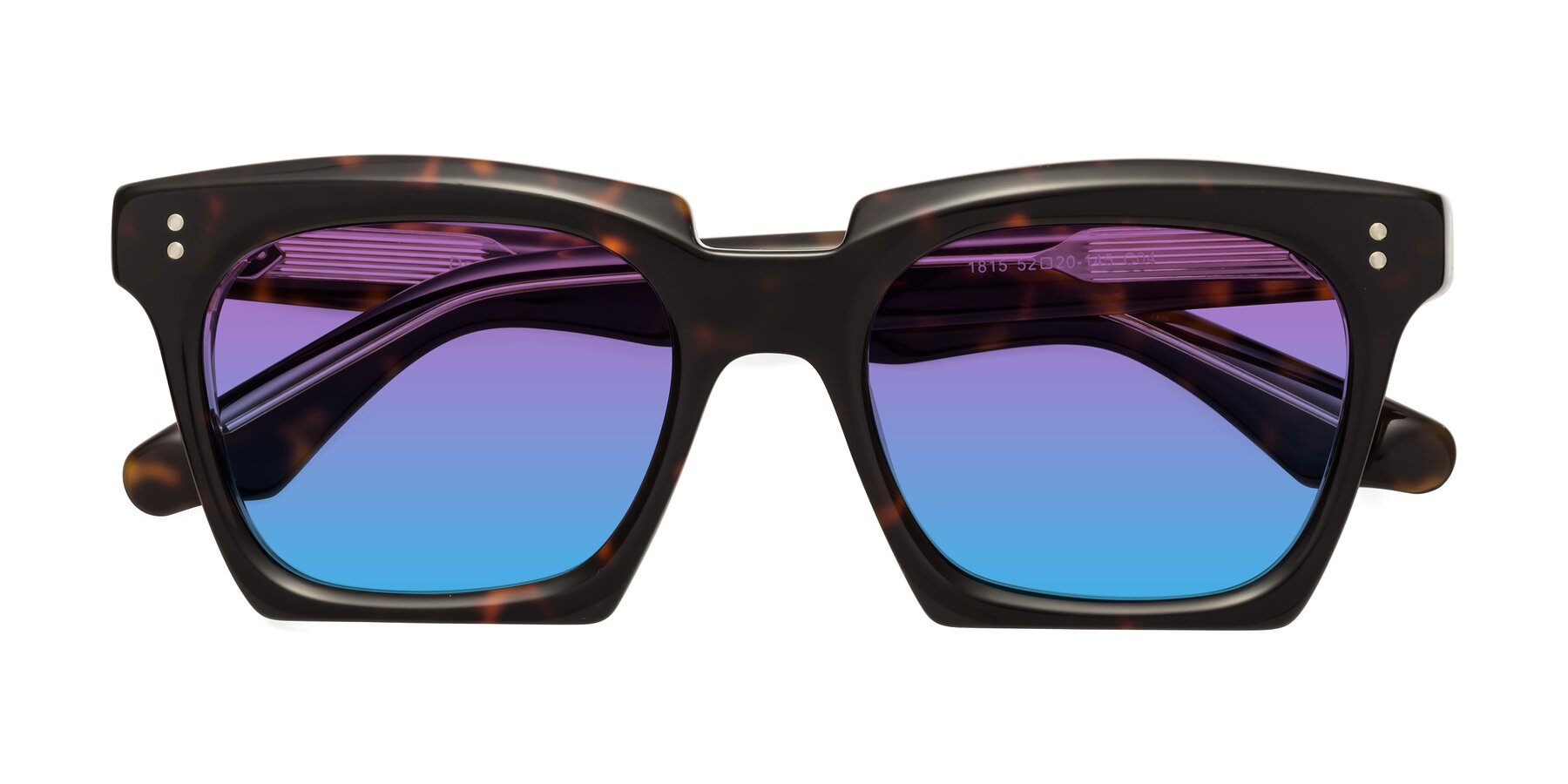 Folded Front of Donnie in Tortoise-Clear with Purple / Blue Gradient Lenses