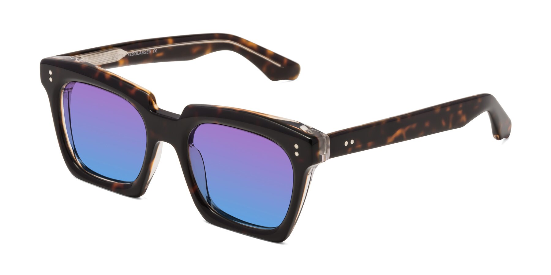 Angle of Donnie in Tortoise-Clear with Purple / Blue Gradient Lenses