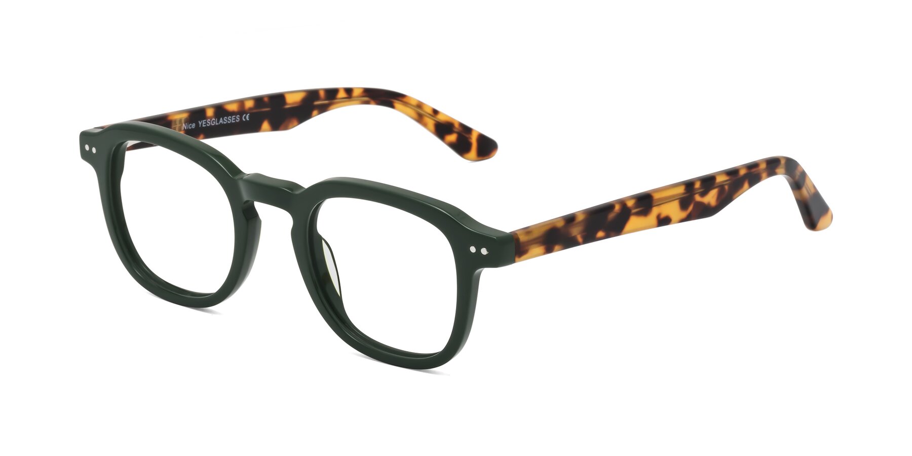 Angle of Nice in Seaweed-Tortoise with Clear Eyeglass Lenses