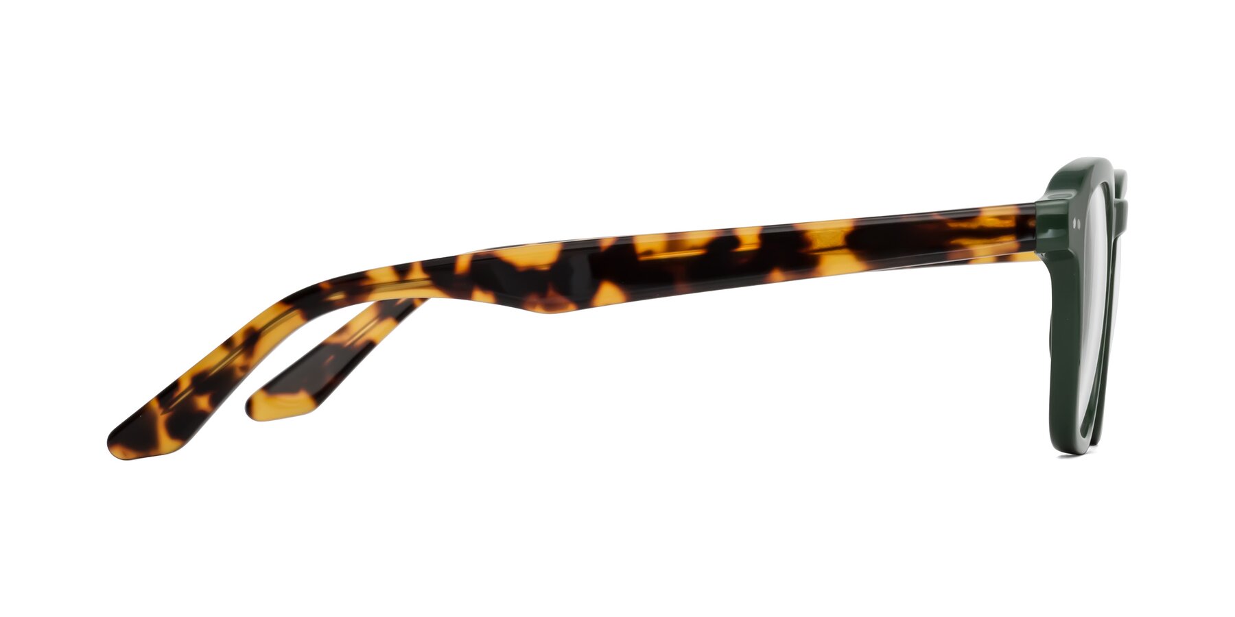 Side of Nice in Seaweed-Tortoise with Clear Eyeglass Lenses