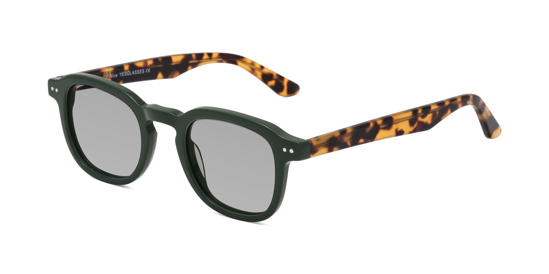 Angle of Nice in Seaweed-Tortoise with Light Gray Tinted Lenses