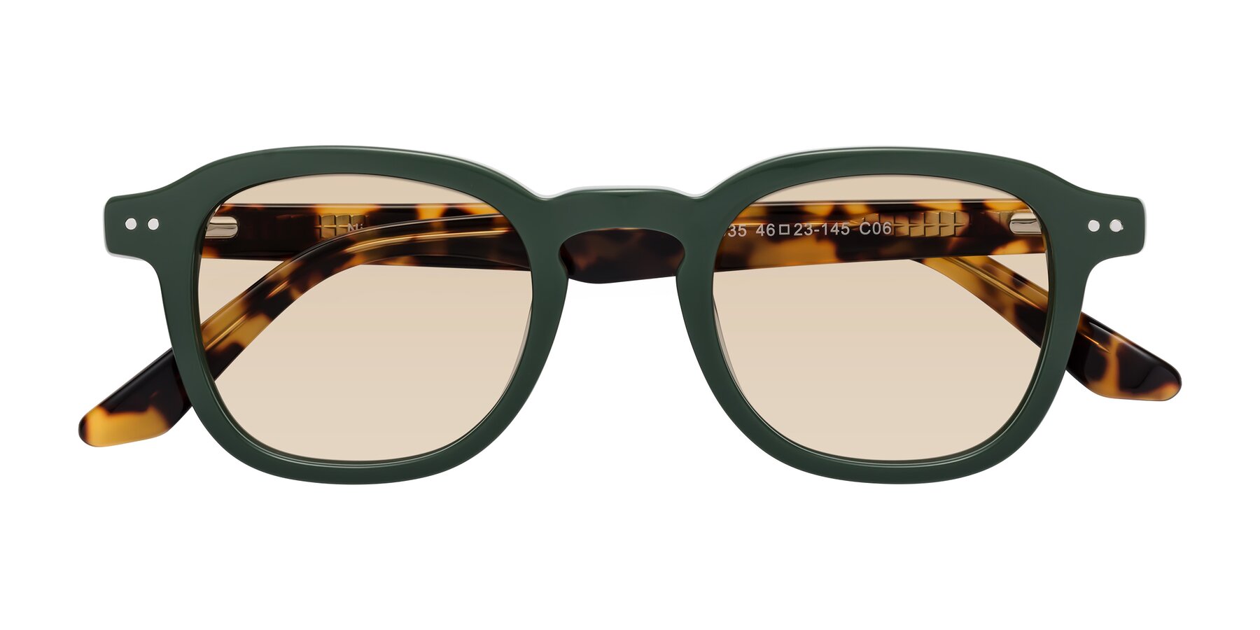 Folded Front of Nice in Seaweed-Tortoise with Light Brown Tinted Lenses