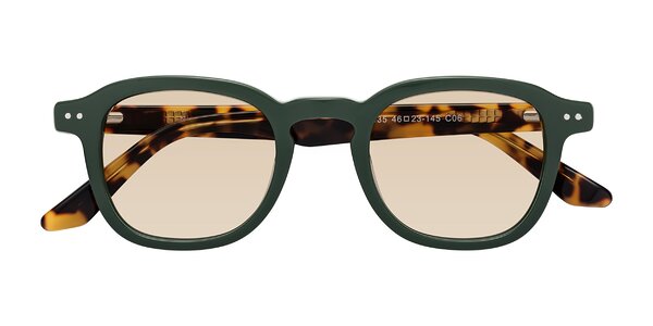 Front of Nice in Seaweed / Tortoise