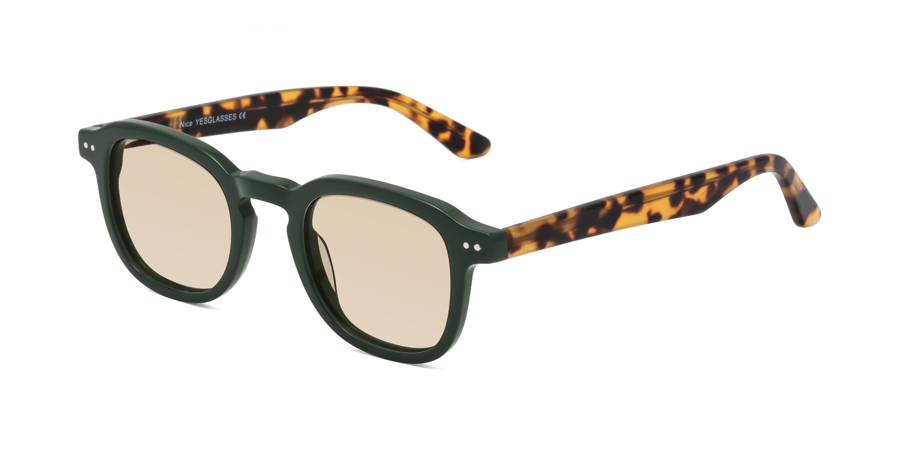 Angle of Nice in Seaweed-Tortoise with Light Brown Tinted Lenses