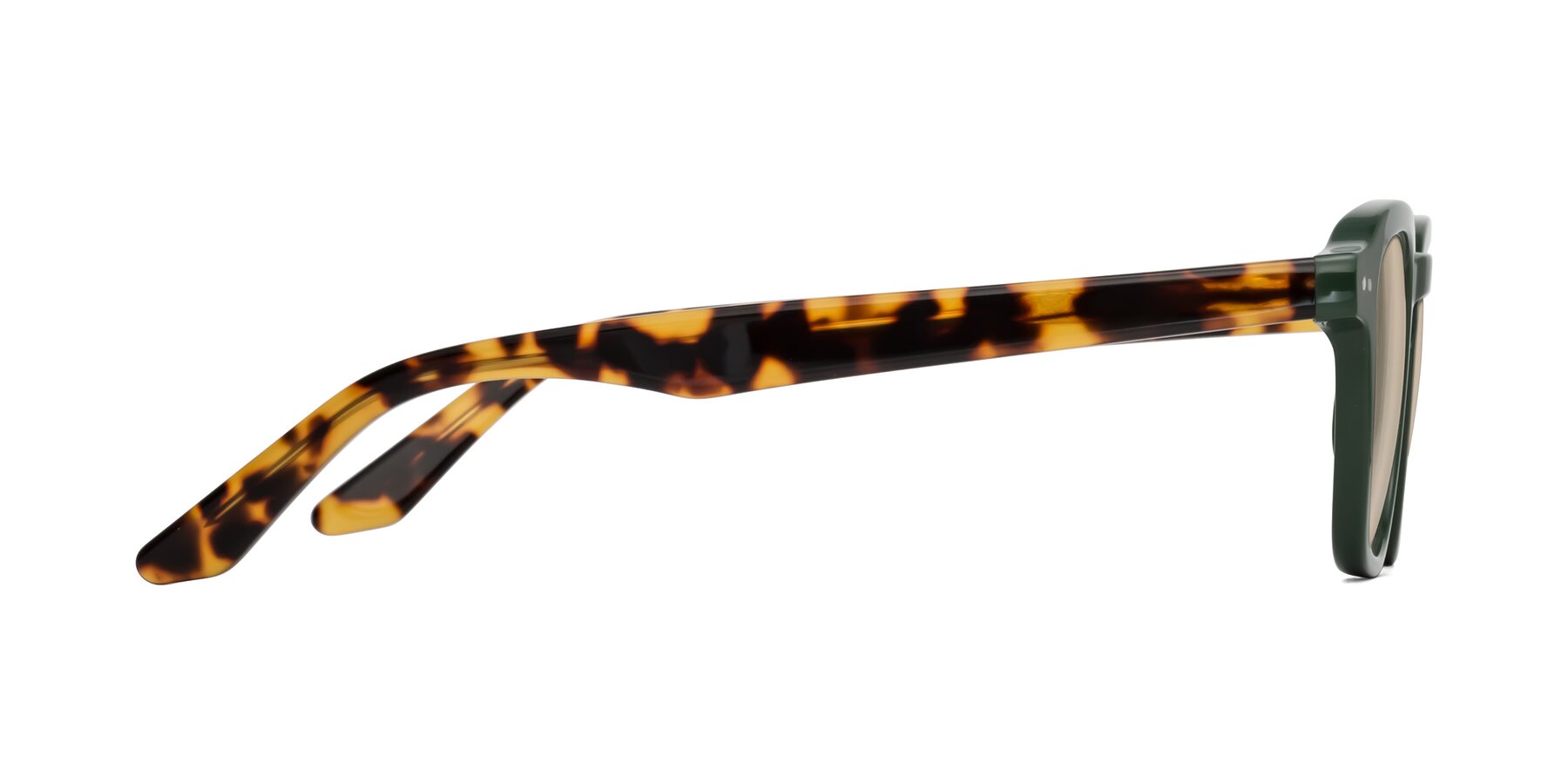 Side of Nice in Seaweed-Tortoise with Light Brown Tinted Lenses