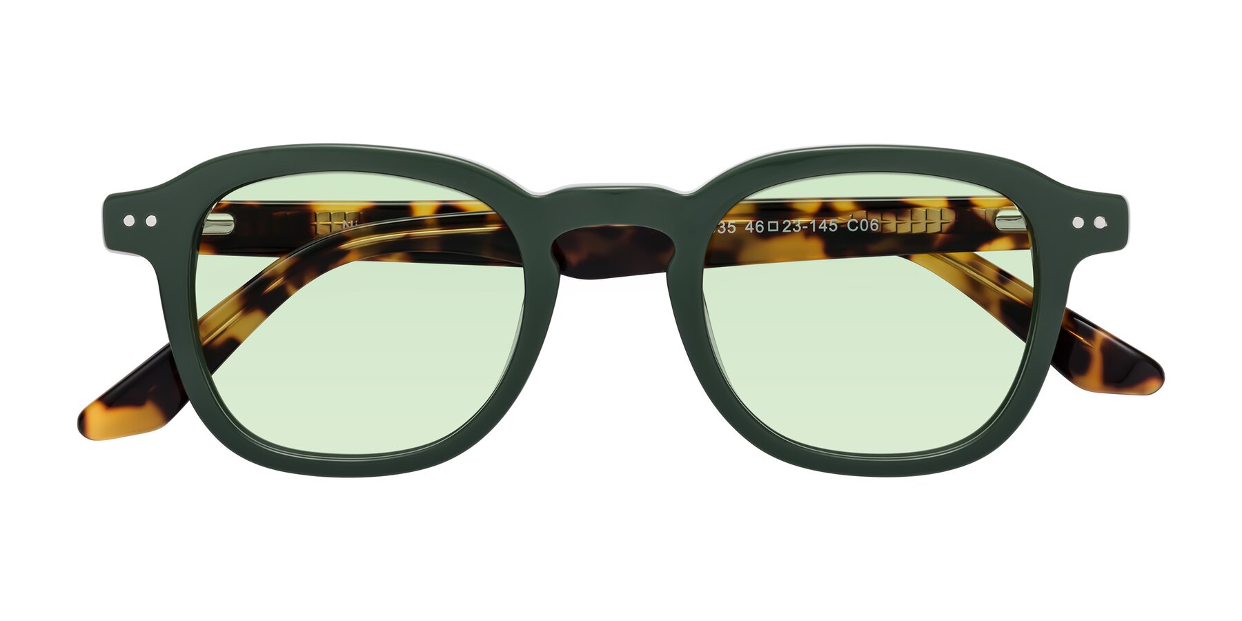 Folded Front of Nice in Seaweed-Tortoise with Light Green Tinted Lenses