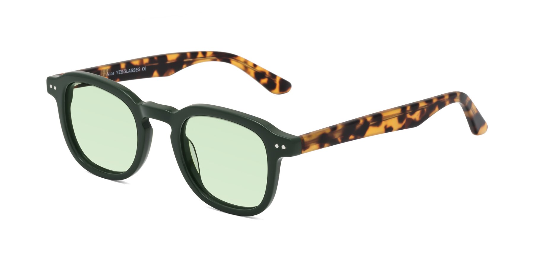 Angle of Nice in Seaweed-Tortoise with Light Green Tinted Lenses