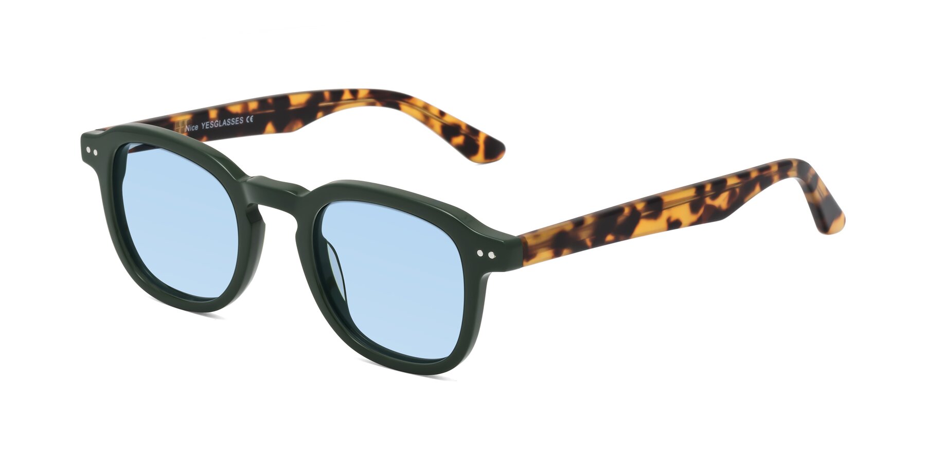 Angle of Nice in Seaweed-Tortoise with Light Blue Tinted Lenses