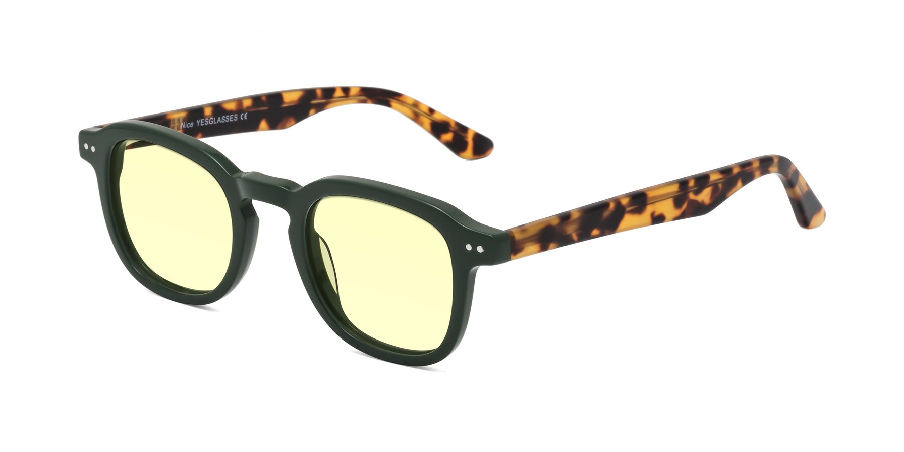 Angle of Nice in Seaweed-Tortoise with Light Yellow Tinted Lenses