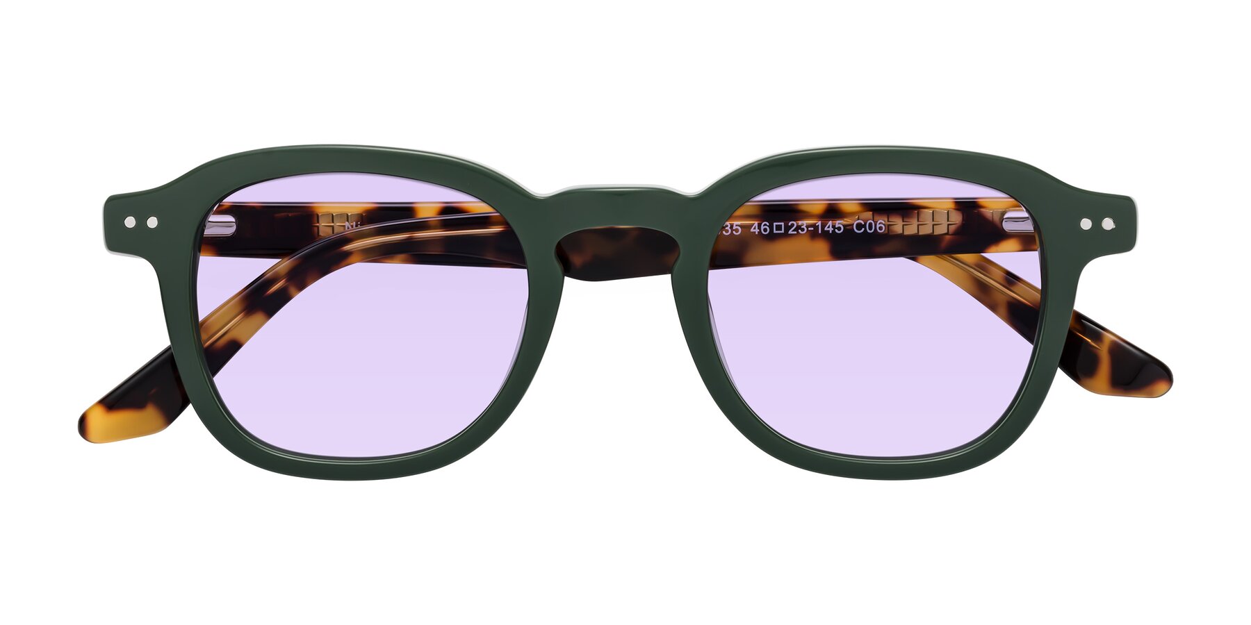 Folded Front of Nice in Seaweed-Tortoise with Light Purple Tinted Lenses