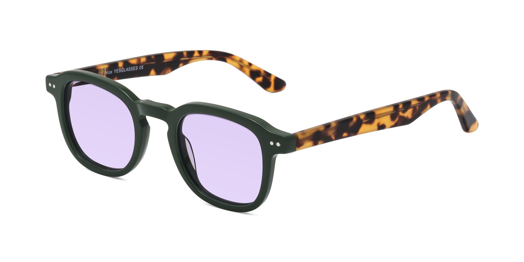 Angle of Nice in Seaweed-Tortoise with Light Purple Tinted Lenses