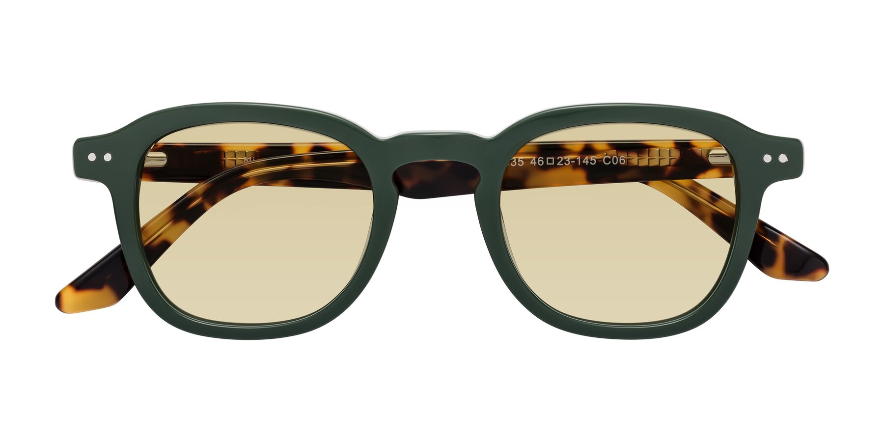 Folded Front of Nice in Seaweed-Tortoise with Light Champagne Tinted Lenses