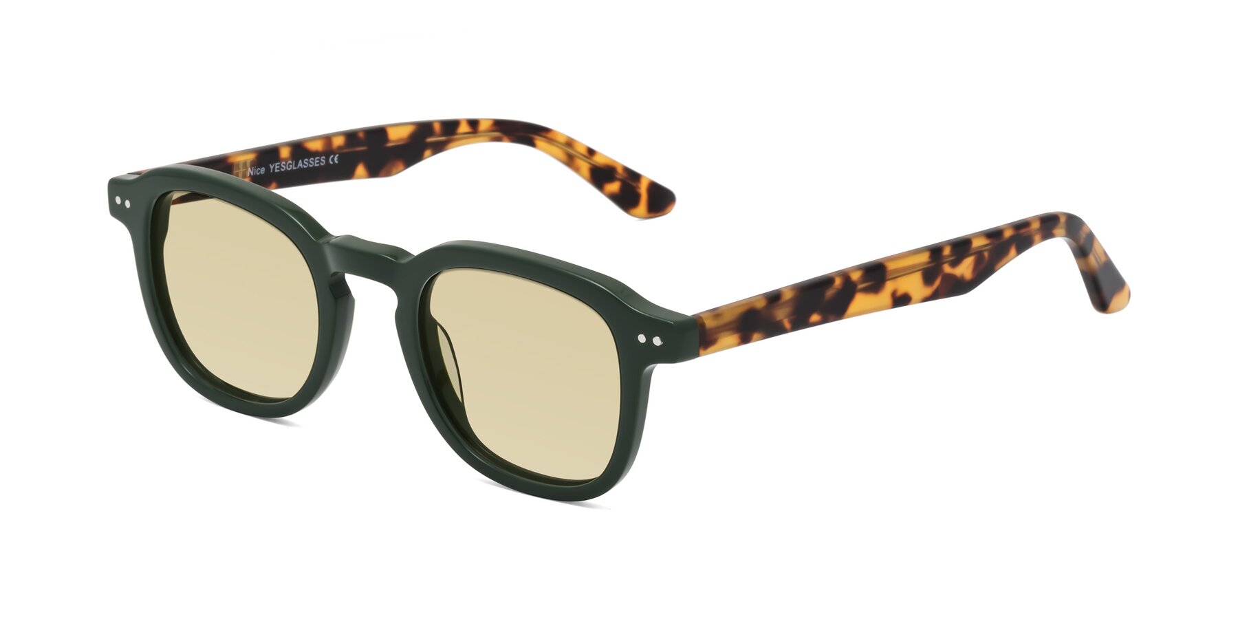 Angle of Nice in Seaweed-Tortoise with Light Champagne Tinted Lenses