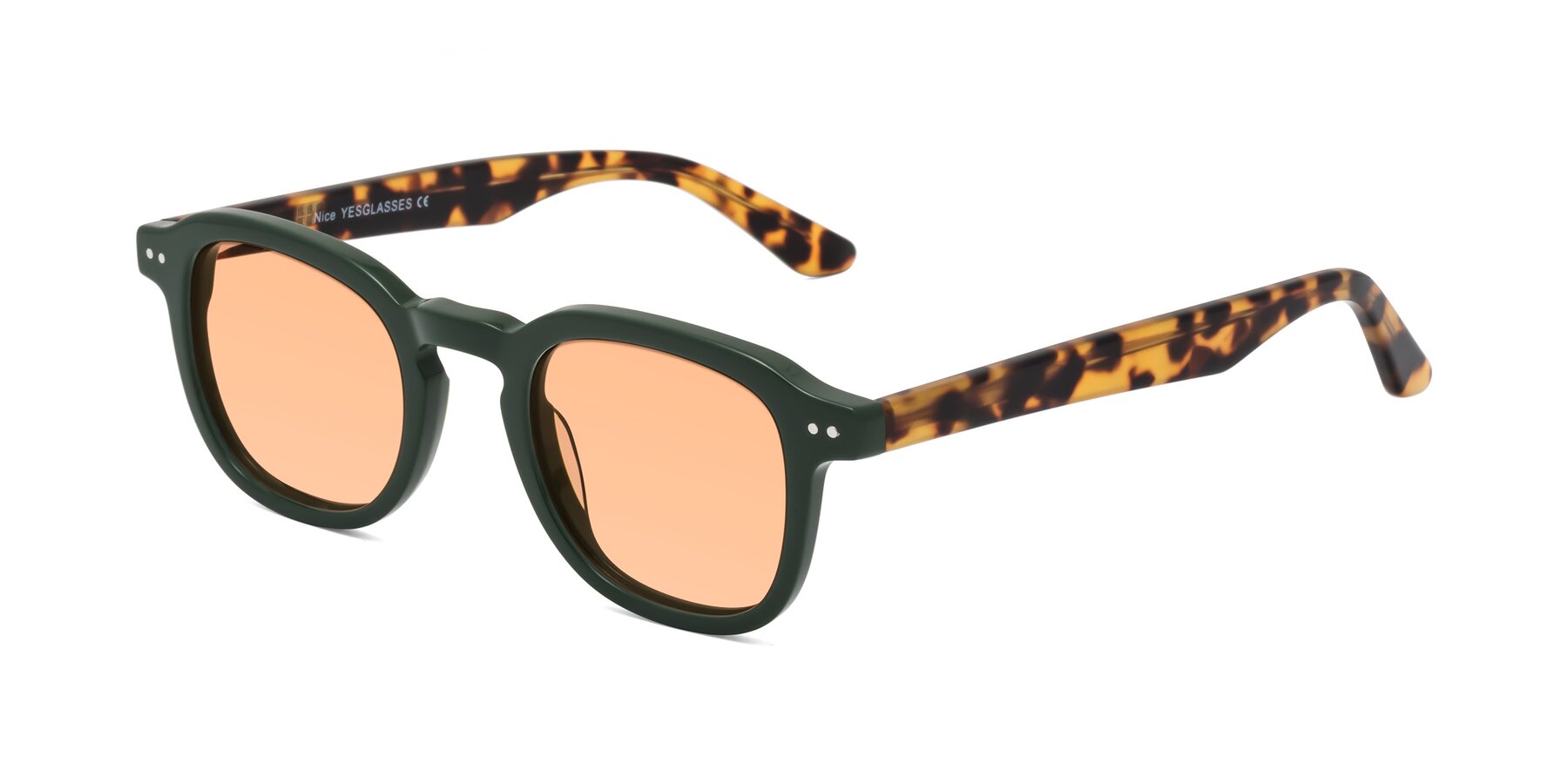 Angle of Nice in Seaweed-Tortoise with Light Orange Tinted Lenses