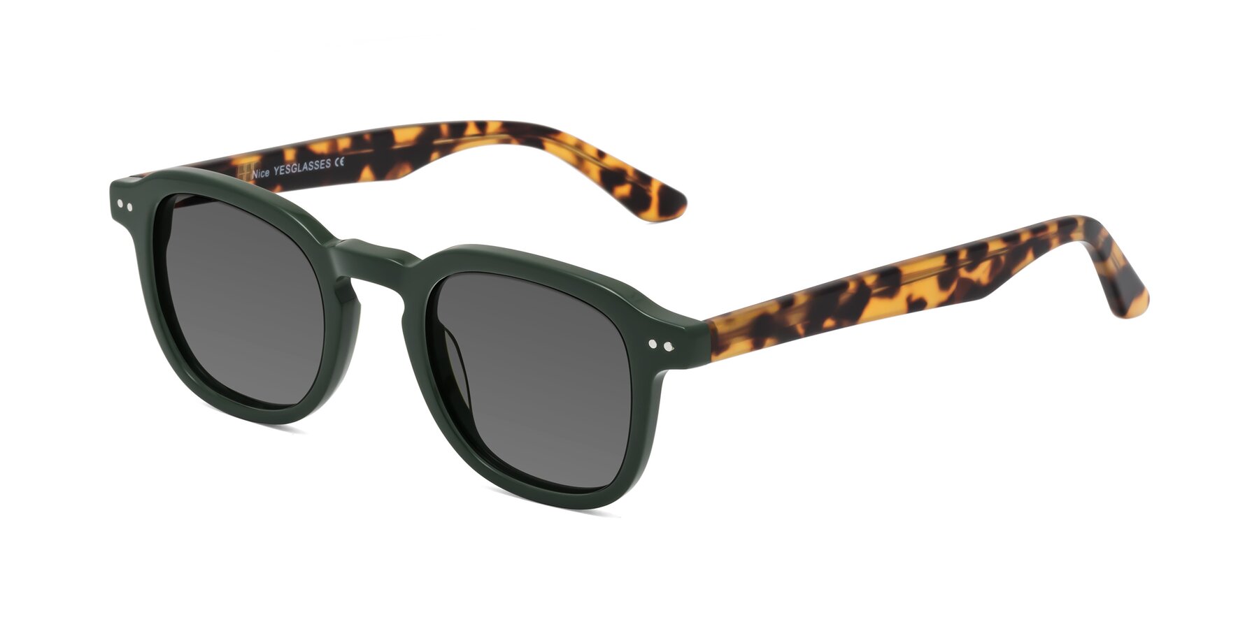 Angle of Nice in Seaweed-Tortoise with Medium Gray Tinted Lenses