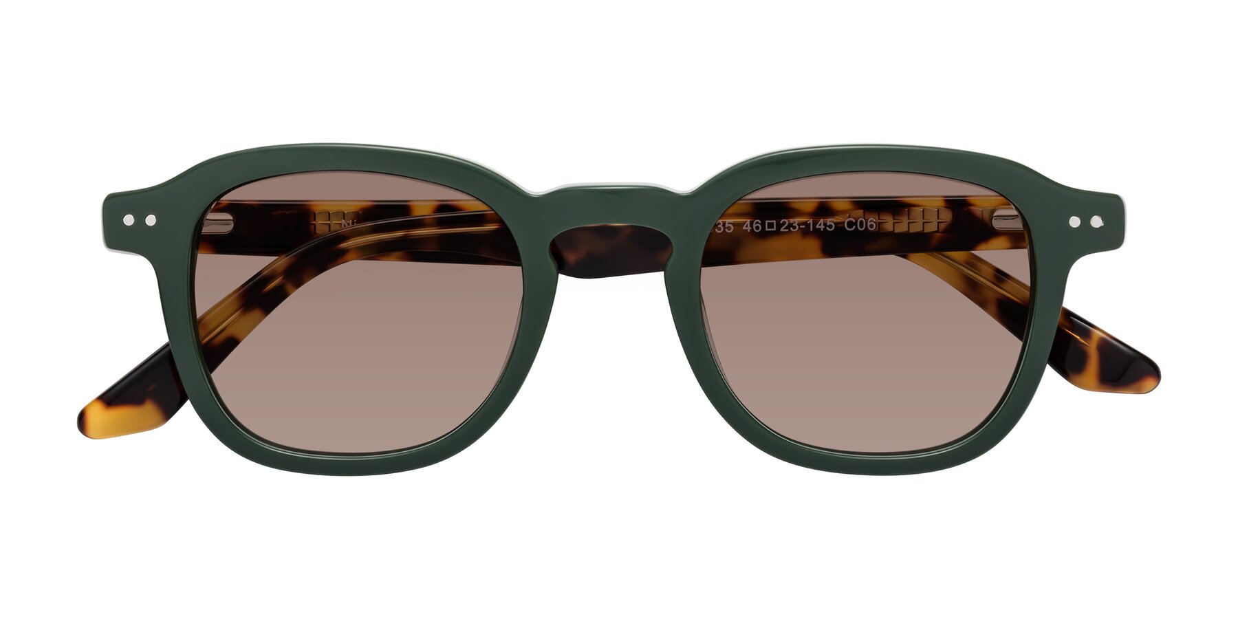 Folded Front of Nice in Seaweed-Tortoise with Medium Brown Tinted Lenses