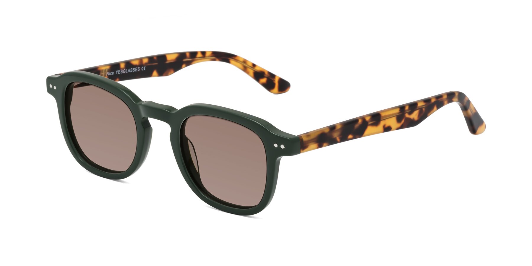 Angle of Nice in Seaweed-Tortoise with Medium Brown Tinted Lenses