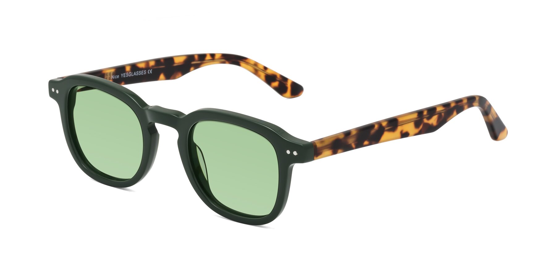 Angle of Nice in Seaweed-Tortoise with Medium Green Tinted Lenses