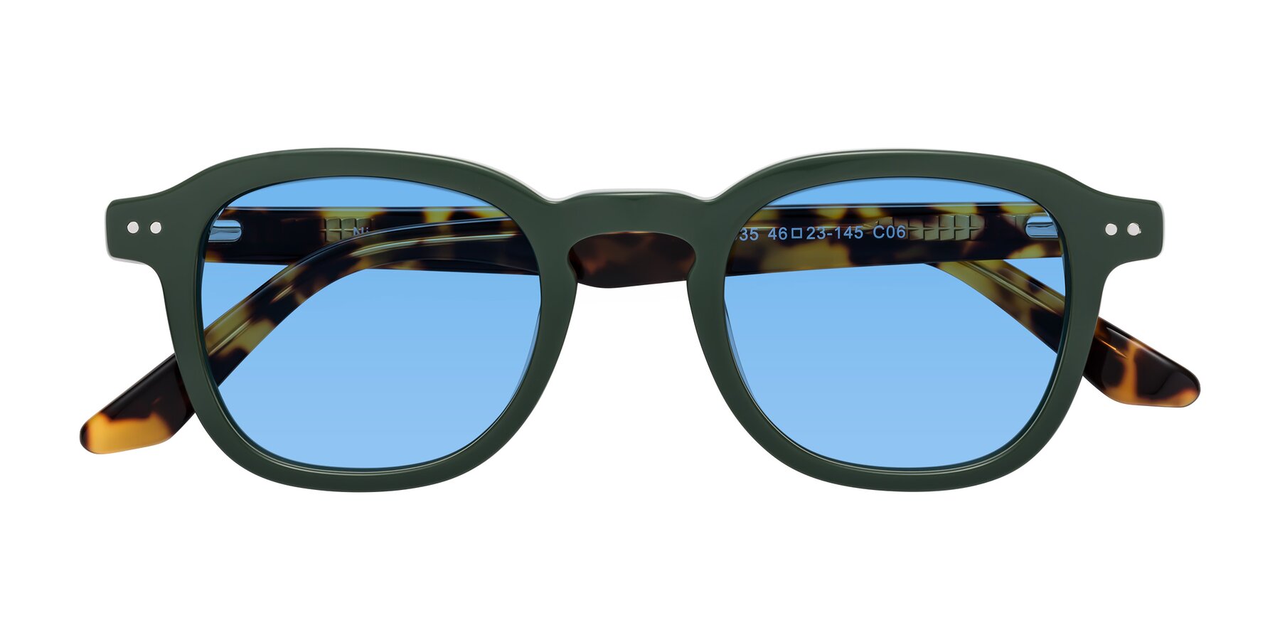 Folded Front of Nice in Seaweed-Tortoise with Medium Blue Tinted Lenses