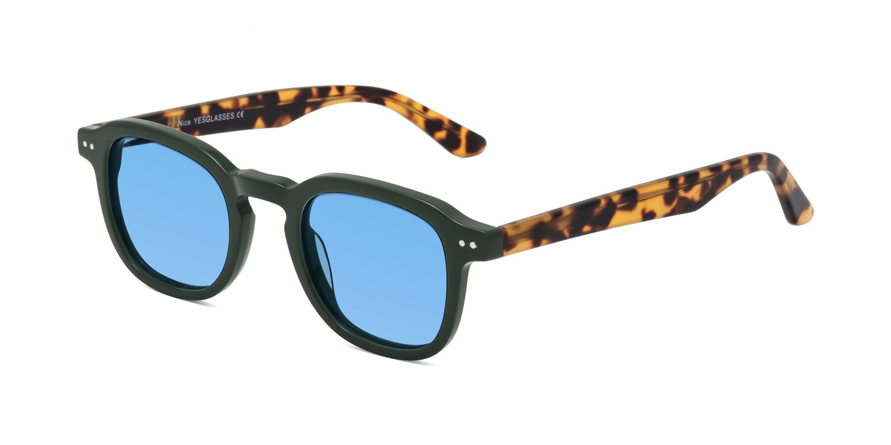 Angle of Nice in Seaweed-Tortoise with Medium Blue Tinted Lenses