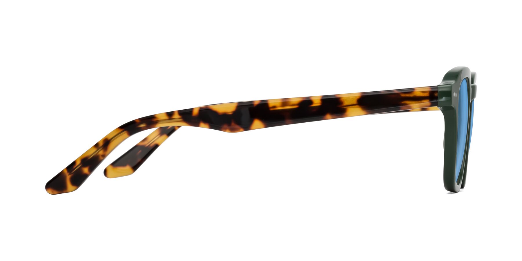 Side of Nice in Seaweed-Tortoise with Medium Blue Tinted Lenses