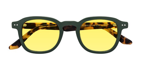 Front of Nice in Seaweed / Tortoise