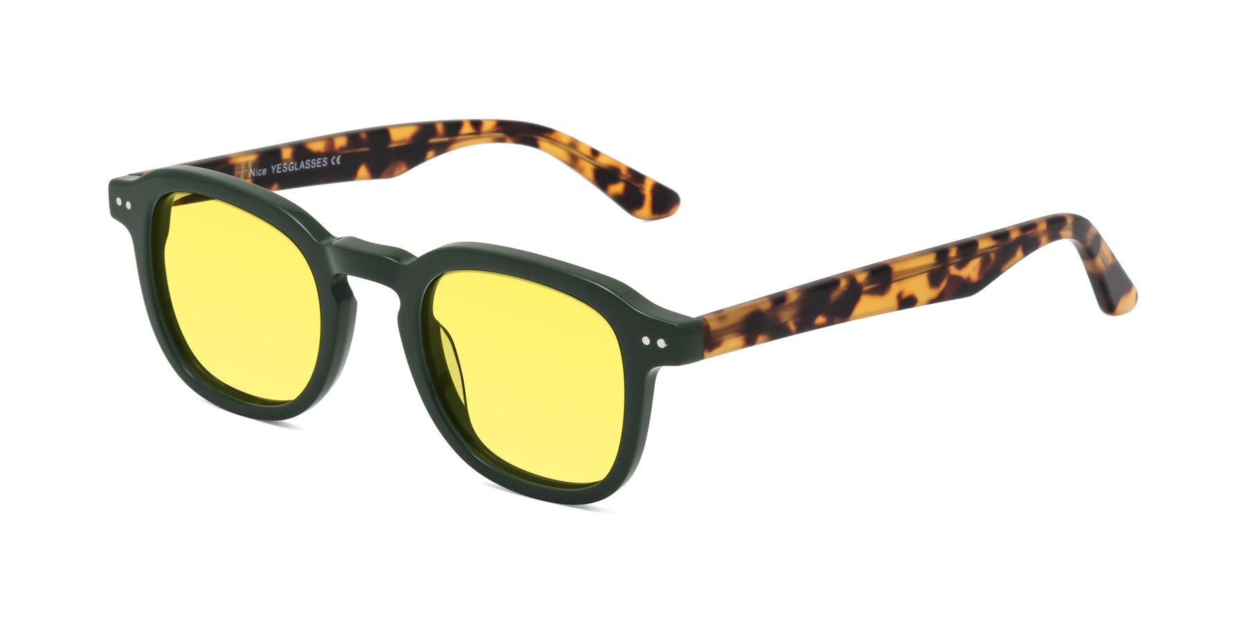 Angle of Nice in Seaweed-Tortoise with Medium Yellow Tinted Lenses