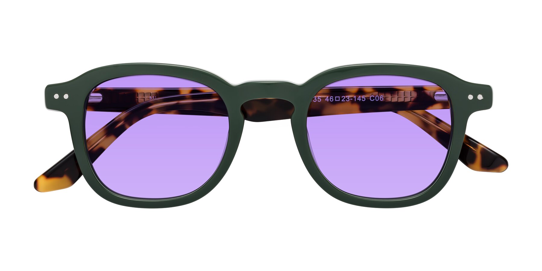 Folded Front of Nice in Seaweed-Tortoise with Medium Purple Tinted Lenses