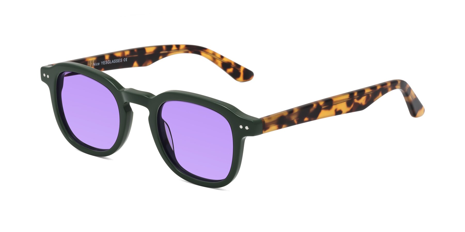 Angle of Nice in Seaweed-Tortoise with Medium Purple Tinted Lenses