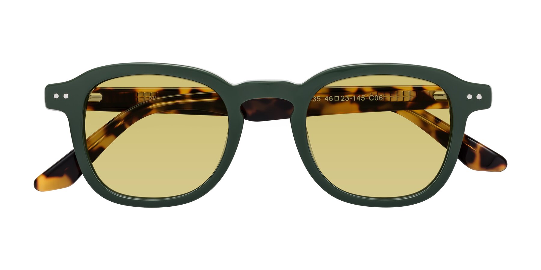 Folded Front of Nice in Seaweed-Tortoise with Medium Champagne Tinted Lenses