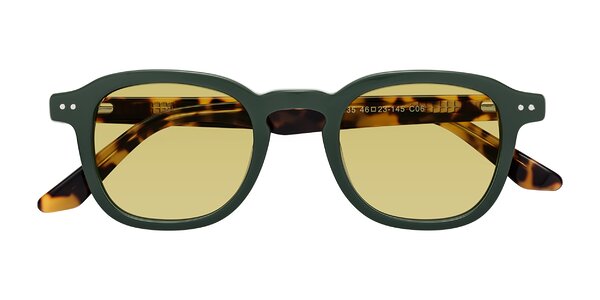 Front of Nice in Seaweed / Tortoise