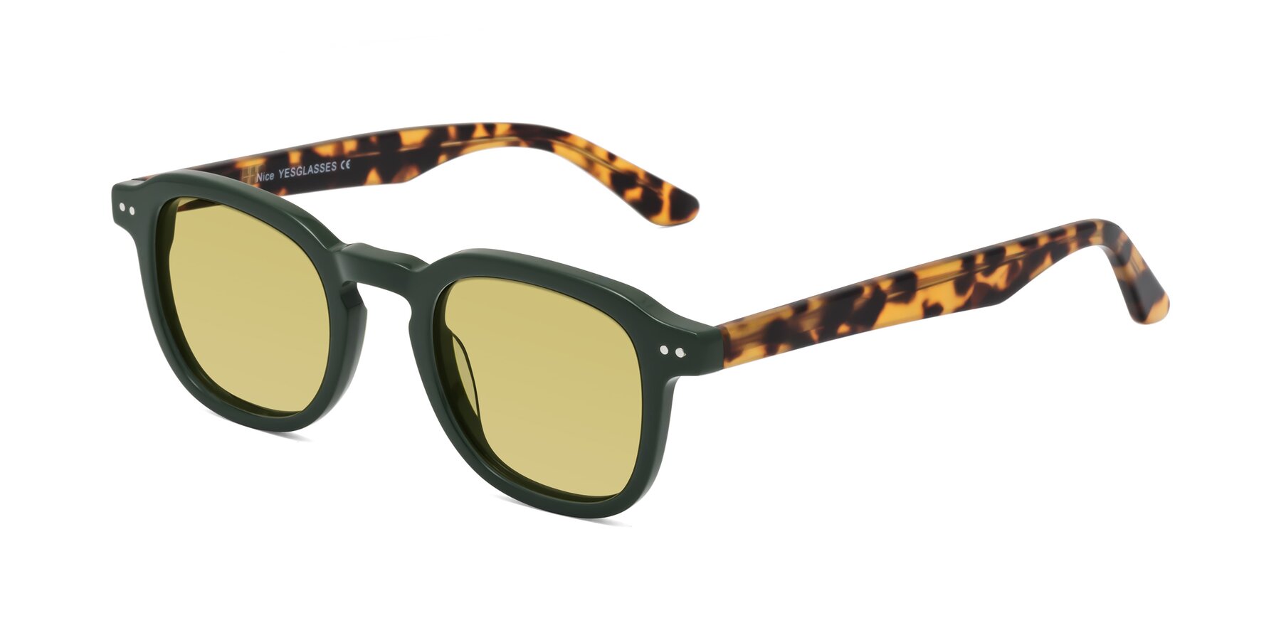 Angle of Nice in Seaweed-Tortoise with Medium Champagne Tinted Lenses