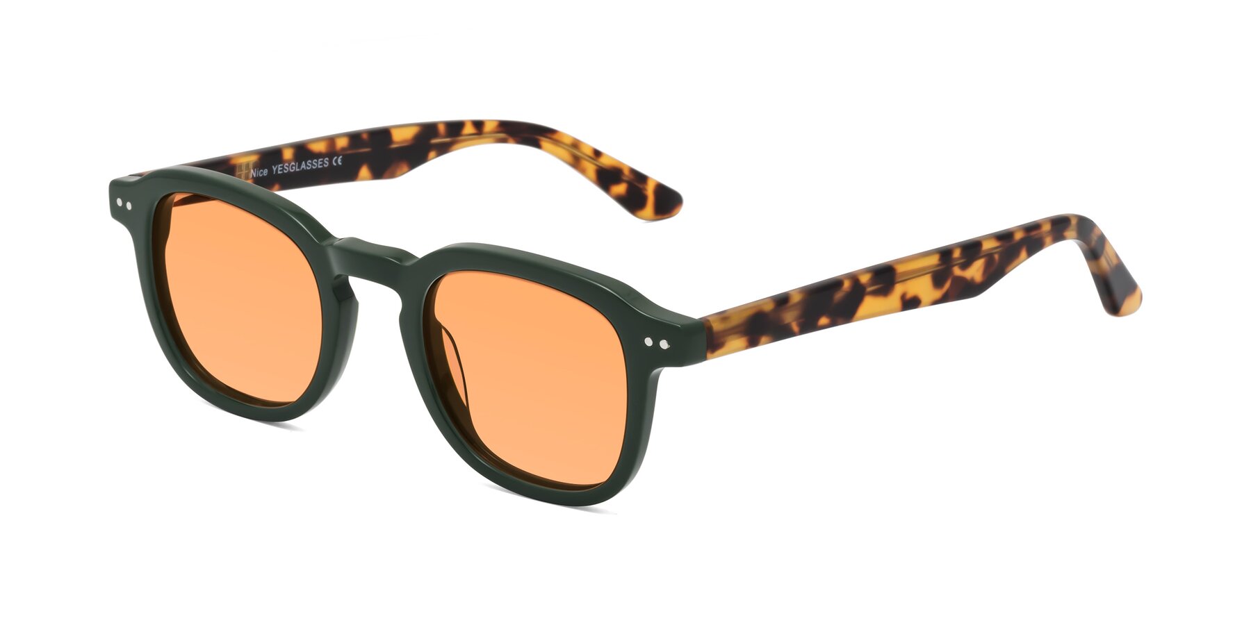 Angle of Nice in Seaweed-Tortoise with Medium Orange Tinted Lenses