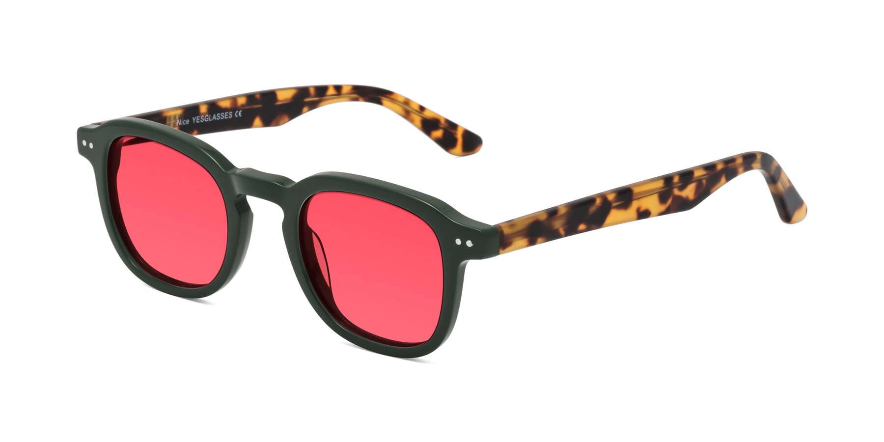 Angle of Nice in Seaweed-Tortoise with Red Tinted Lenses