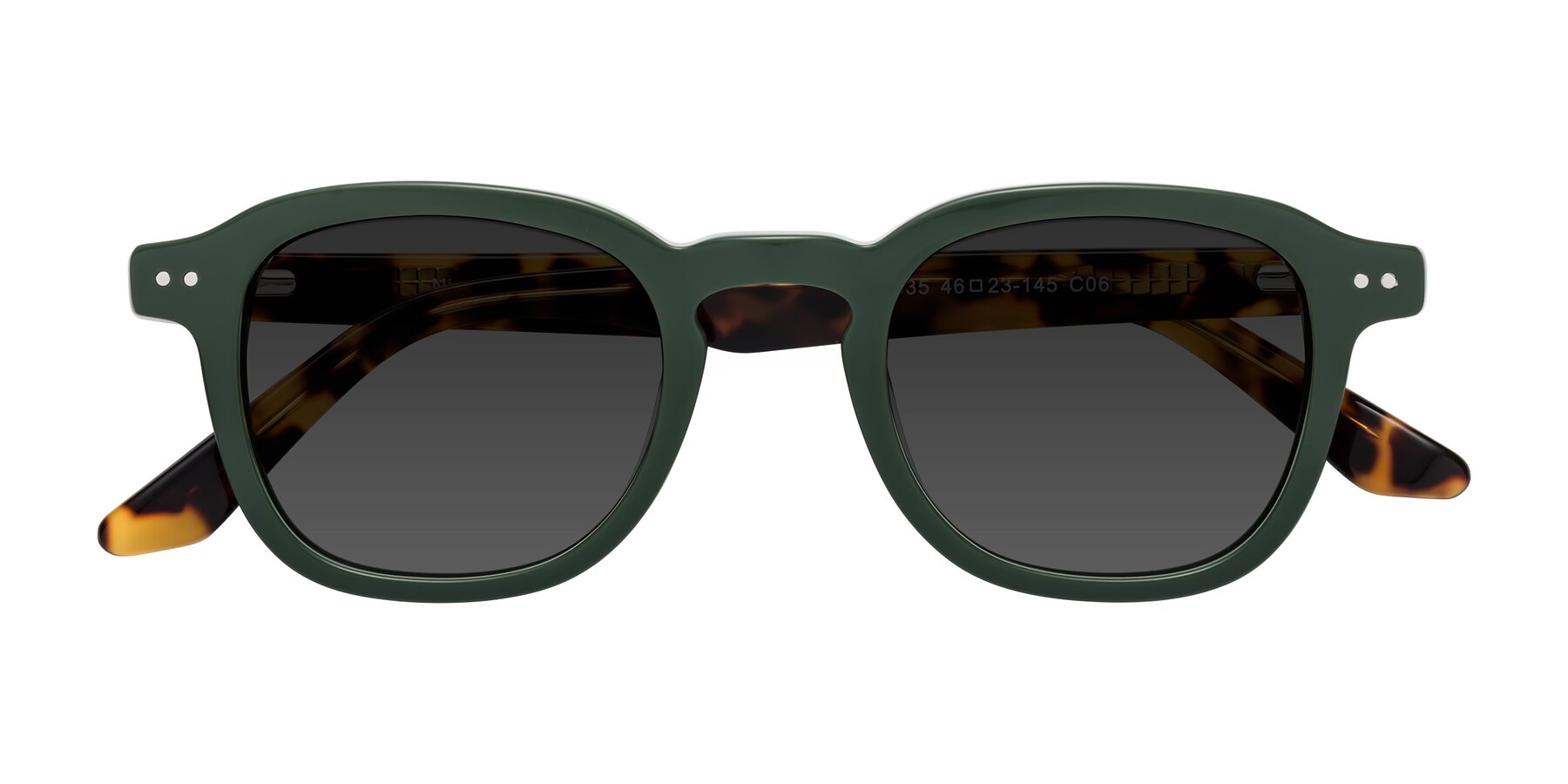 Folded Front of Nice in Seaweed-Tortoise with Gray Tinted Lenses