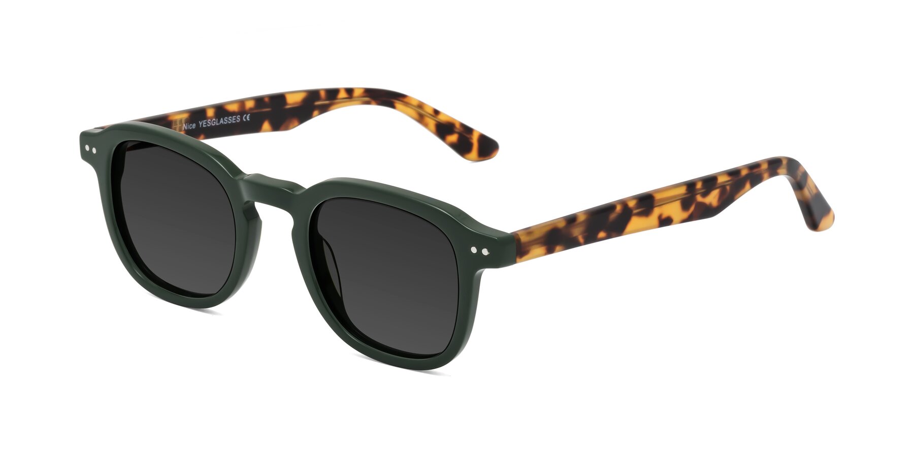 Angle of Nice in Seaweed-Tortoise with Gray Tinted Lenses