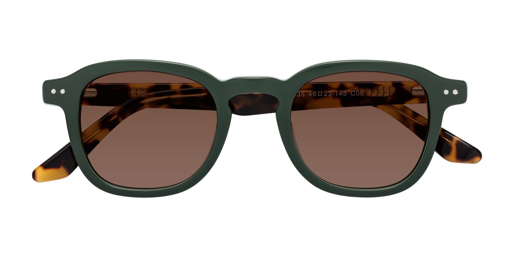 Folded Front of Nice in Seaweed-Tortoise with Brown Tinted Lenses