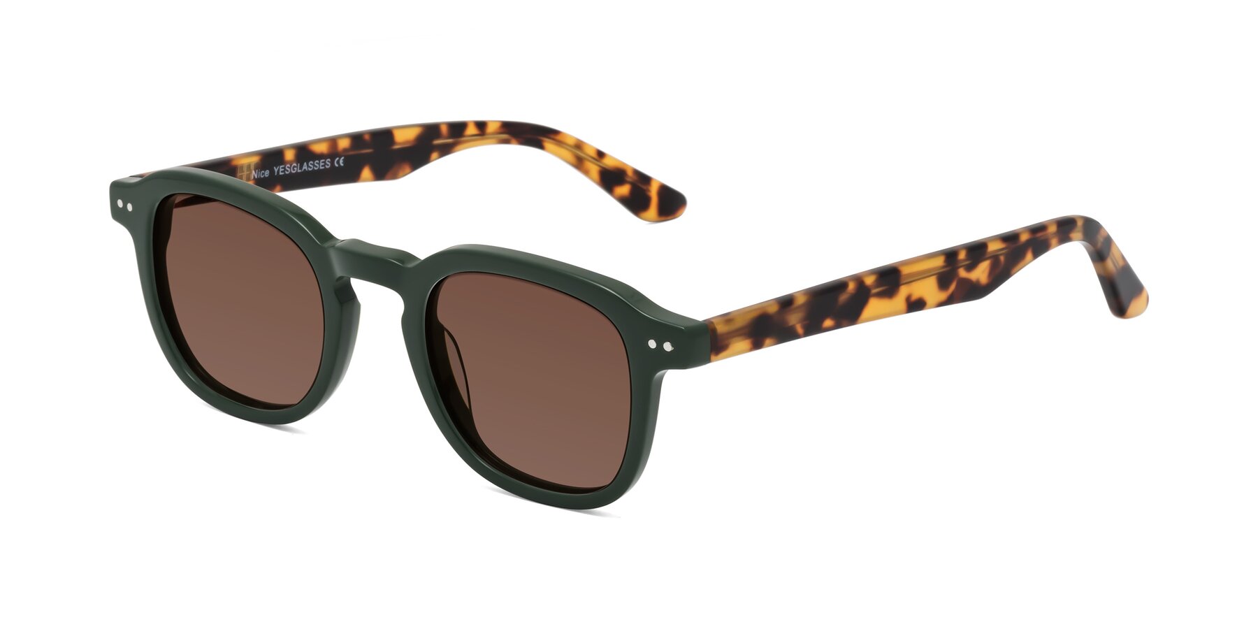 Angle of Nice in Seaweed-Tortoise with Brown Tinted Lenses