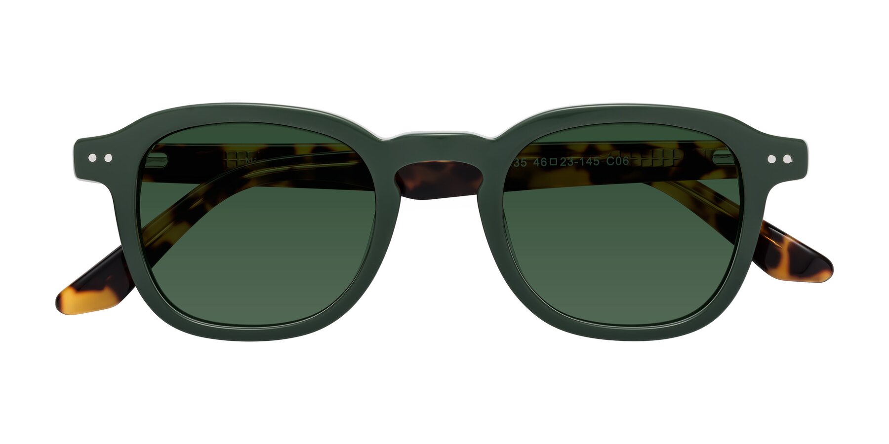 Folded Front of Nice in Seaweed-Tortoise with Green Tinted Lenses