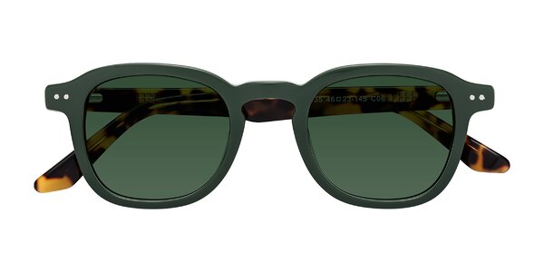 Front of Nice in Seaweed / Tortoise