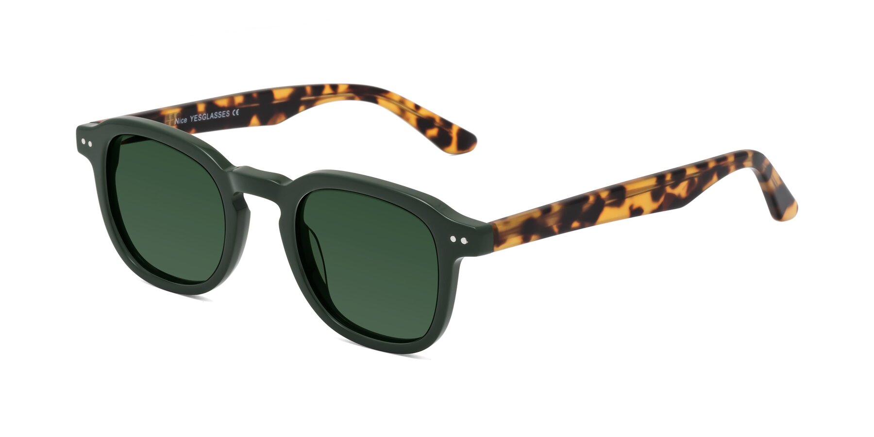 Angle of Nice in Seaweed-Tortoise with Green Tinted Lenses